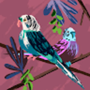 Meet your Posher, Ivy trisha